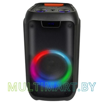 Колонка для вечеринок Ritmix SP-925B